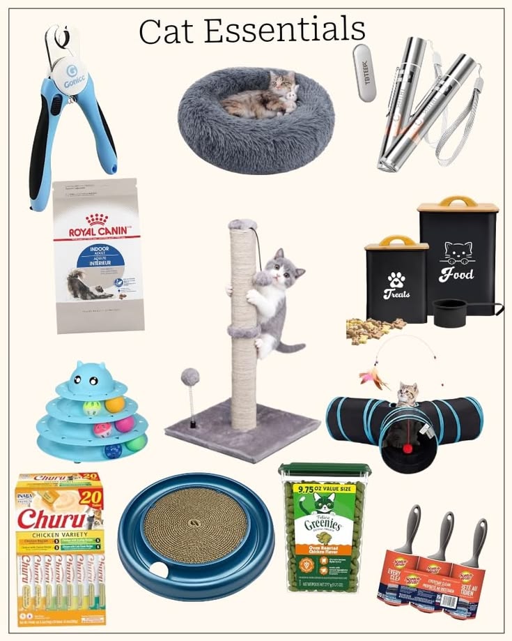 CAT ACCESSORIES
