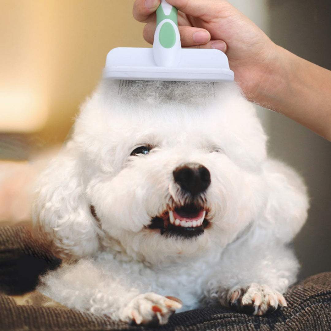 fbccd6c62d514f350349909cd2037e5a